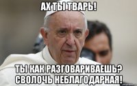 ах ты тварь! ты как разговариваешь? сволочь неблагодарная!