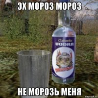 эх мороз мороз не морозь меня