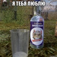 я тебя люблю 