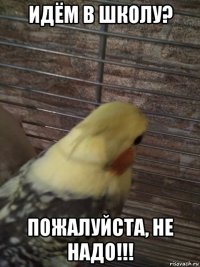 идём в школу? пожалуйста, не надо!!!