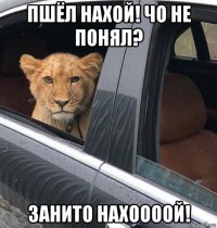 пшёл нахой! чо не понял? занито нахоооой!
