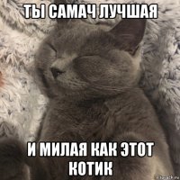 ты самач лучшая и милая как этот котик