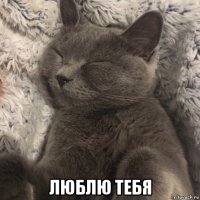  люблю тебя