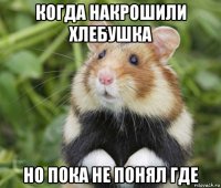 когда накрошили хлебушка но пока не понял где