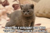  приветик! я услышал твое тихое "скучаю!"...ты не бойся, я с тобой...!
