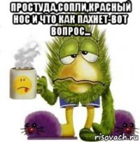 простуда,сопли,красный нос и что как пахнет-вот вопрос... 