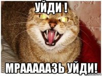 уйди ! мрааааазь уйди!