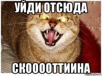 уйди отсюда скооооттиина