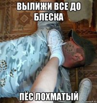 вылижи все до блеска пёс лохматый