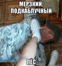 мерзкий, подкаблучный пёс