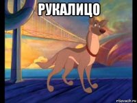 рукалицо 