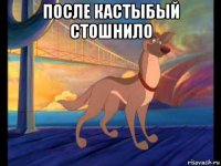 после кастыбый стошнило 