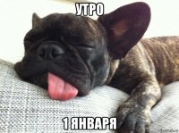 утро 1 января