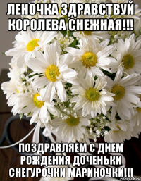 леночка здравствуй королева снежная!!! поздравляем с днем рождения доченьки снегурочки мариночки!!!