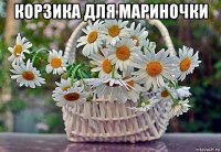 корзика для мариночки 