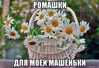ромашки для моей машеньки