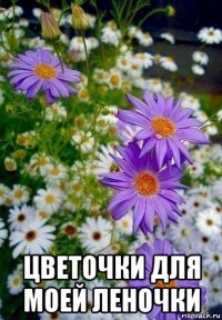  цветочки для моей леночки