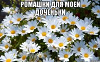 ромашки для моей доченьки 