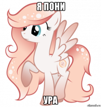 я пони ура