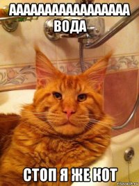 ааааааааааааааааа вода стоп я же кот