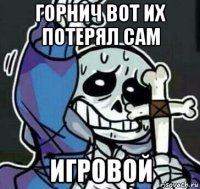 горнич вот их потерял сам игровой