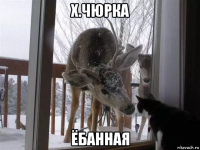 x.чюрка ёбанная