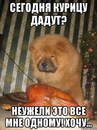 сегодня курицу дадут? неужели это все мне одному! хочу...