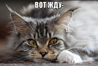вот жду- 