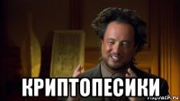  криптопесики