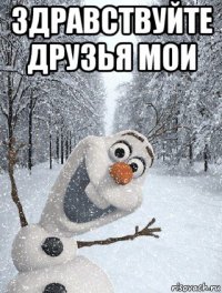 здравствуйте друзья мои 