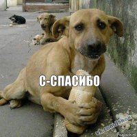 с-спасибо 