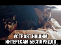  устроят нашим интересам беспорядок
