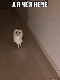 а я чё я не чё 