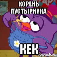 корень пустырника кек