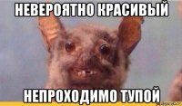 невероятно красивый непроходимо тупой