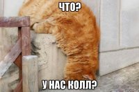 что? у нас колл?