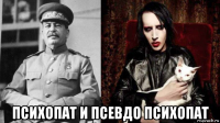  психопат и псевдо психопат
