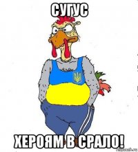 сугус хероям в срало!