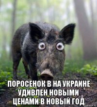  поросенок в на украине удивлен новыми ценами в новый год