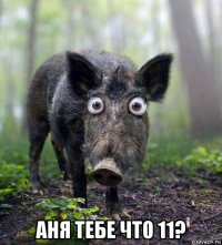  аня тебе что 11?