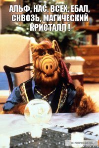 Альф, нас, всех, ебал, Сквозь, Магический Кристалл !