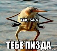  тебе пизда