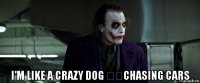  i'm like a crazy dog ​​chasing cars