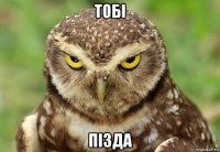 тобі пізда