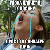 тоска плачет в голосину просто в синкаере дичь