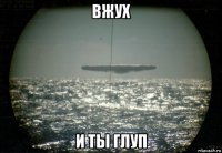 вжух и ты глуп