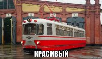 красивый