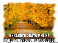  никакого злата мне не надо-только золотая осень!