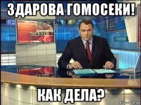 здарова гомосеки! как дела?