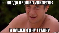 когда прошел 28клеток и нашел одну травку